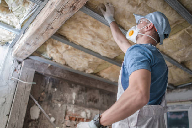 Best Spray Foam Insulation in Jemison, AL